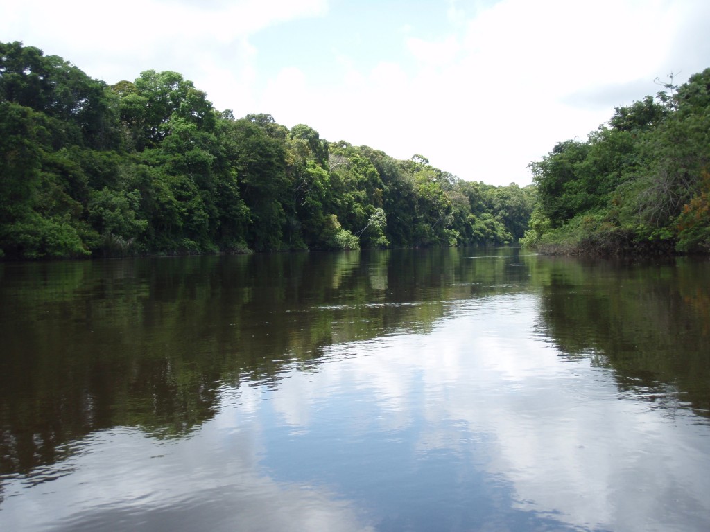 Explore Guyana’s watery landscapes – Guyana Times International – The ...