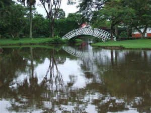 One of the 'kissing bridges' in the Botanical Gardens
