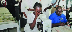 A nurse looks into the microscope to view the malaria parasite