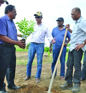 Agriculture ministers Dr Leslie Ramsammy and Alli Baksh preparing to plant a tree to symbolise their visit to the Santa Fé mega farm, Region Nine. Director of the Santa Fé mega farm Richard Vasconcellos is second left