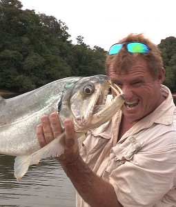 The 2-lb piranha used as bait