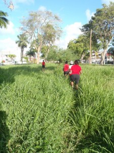 Wading through a grassy trail