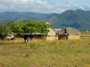 Amerindian houses in the Rupununi Region. The Rupununi Mountain Range is visible in the background 