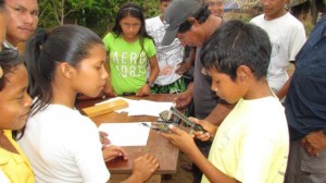 Measuring baby turtles