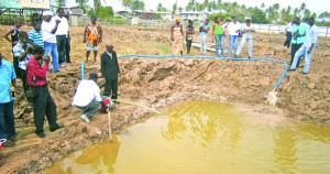 A gasoline pump in operation at one of the fish ponds