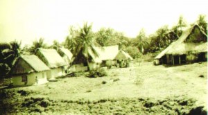 Indian Cottages