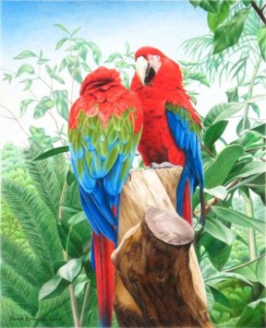 'Love Birds'