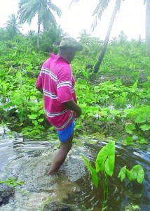 Cash crop farmer Francis Raymond walking through his flooded pumpkin patch