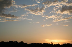 Early sunset over the jungle canopy, a view from near Olive Creek on the Mazaruni River (Photo by Cody H)