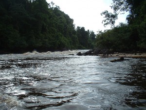 Mazaruni River rapids