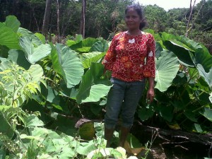 Beverly Lyte among her eddo plants