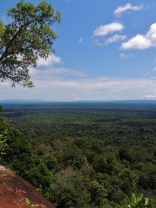 Iwokrama rainforest gained much praise as a naturistic destination in Guyana (Photo by Matt Hallett)