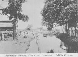 Plantation Enmore, East Coast Demerara circa 1900