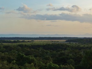 The scenery from Yupukari hilltop, Rupununi (Photo by Matt Hallett)