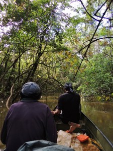 Entering the creek