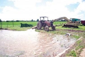 Region Five farmers pumping water to start the crop