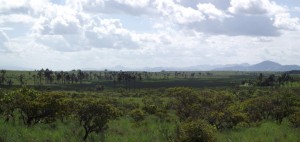 The infamous Lake Amucu