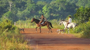 Horse back riding