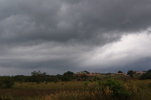 Houses in the distance