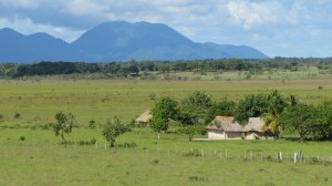 Scenic view of the mountains