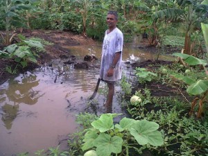 A farmer surveys his water-logged crops