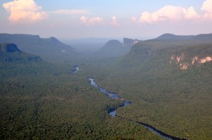 Potaro winding through dense forest