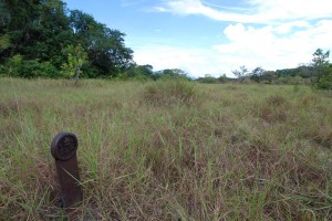 The jungle has reclaimed some parts of the trail