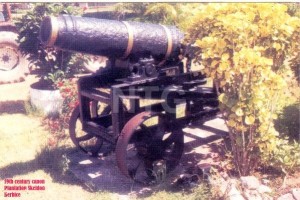 Cannon at Plantation Skeldon, Berbice