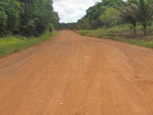 A section of the Linden to Lethem Road