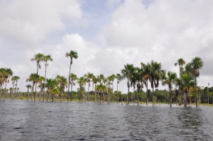 Itiribisi Lake