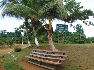 Tourists can relax under the coconut trees