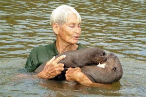 Diane McTurk with her beloved otters at Karanambu Lodge