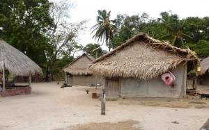 Traditional indigenous houses: mud walls with thatch roof (solar panel in centre on tall pole)