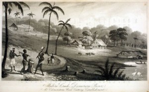 Charles Edmonstone’s timber estate at Mibiri Creek where John Edmonstone is assumed to have been a house slave; one of some 400 – 500 slaves (Sketched by Thomas Staunton St Clair, 1808) 