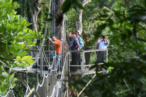 Tourists look at birds and other wildlife from one of the platforms