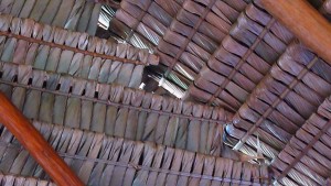 Interior of the gable end of the hall at the Sophia Indigenous Village, Georgetown, showing details of the construction of the dhalibanna “roofing units” 