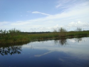 A view on the way to Akawini