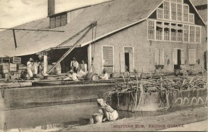 Shipping rum, British Guiana 1910