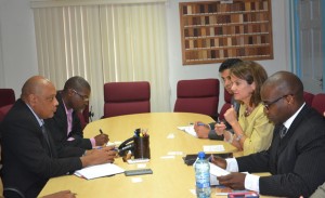 Robin Dunnigan, U.S Department of State, Deputy Assistant Secretary, making a point to the Ministers in the meeting