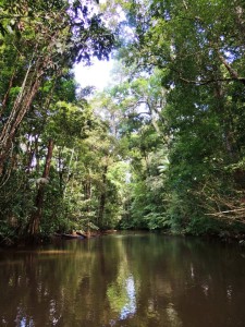 One of the most scenic places in the Rupununi is Kamarapa Creek (Photo by Matt Hallett)