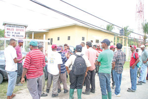 A group of disgruntled workers at Wales Estate