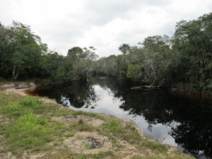 Black waters of the Mahaica River