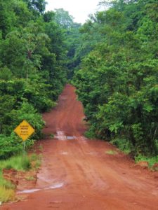 The road rises and falls through the heart of the country (http://newbohemians.net/georgetown-guyana-and-other-thoughts)