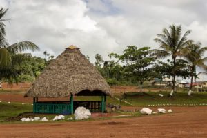 At 58 Miles, (popularly referred to as “58-mile”) a small village along Mabura Road – 58 miles from Linden is a stopover for travellers along the Georgetown-Lethem road (Photo courtesy Girendra Persaud, Gxmedia) 