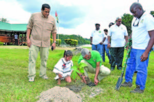 President David Granger plants the first tree at Fair View, Region Nine. Agriculture Minister Noel Holder and Senior Staff of the Ministry look on at the opening of the second  annual National Tree Day event