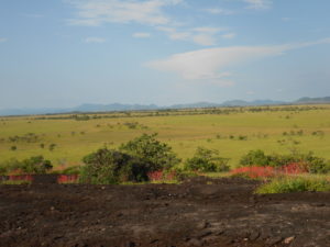 Distant view of Shiriri  (Photo by Vaughn Nicholas Duncan)