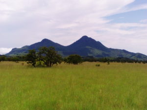 One of Rupununi's beautiful mountains (Photo by Vaughn Nicholas Duncan)