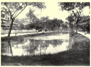 Carmichael Street, Georgetown (no date): Large, central canal filled with water and stocked with fish