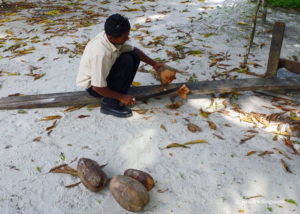 Cleaning the outer layer of the coconut