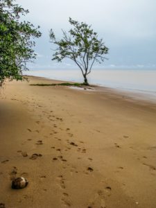 A relaxing spot on the beach (Photo by Michael Lam)